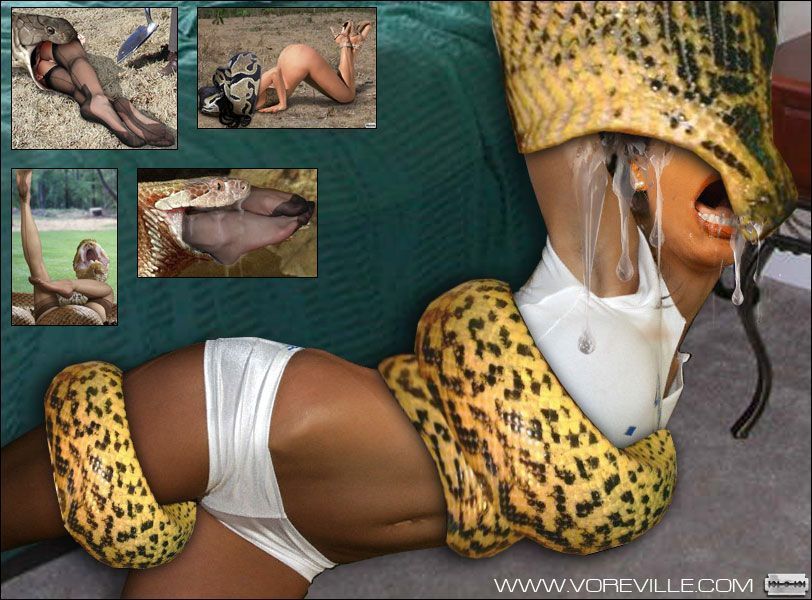 Snake vore pics swallows bound girl